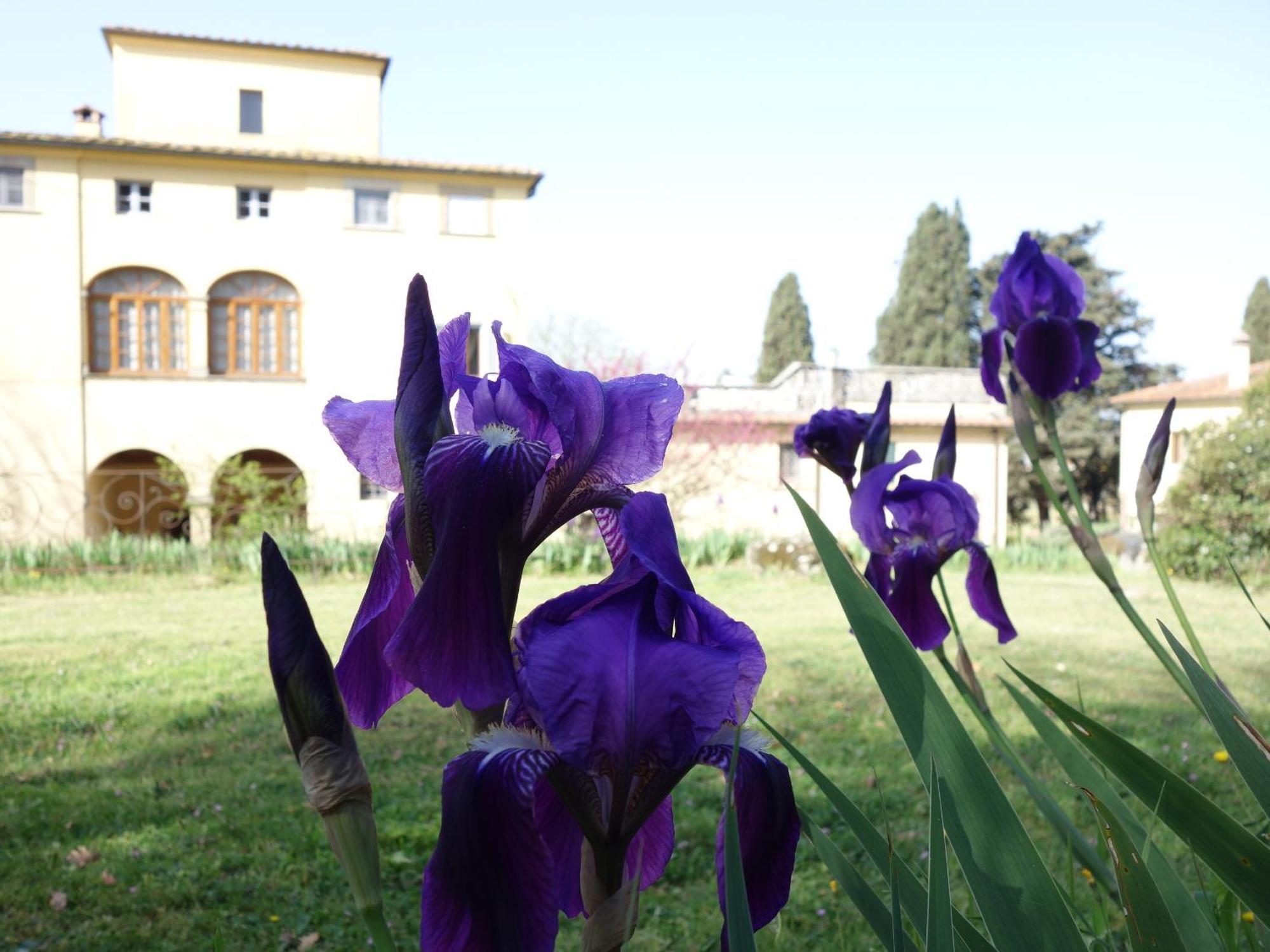 Bella Di Ceciliano Panzió Arezzo Kültér fotó